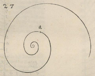logarithmic spiral
        ewige linie