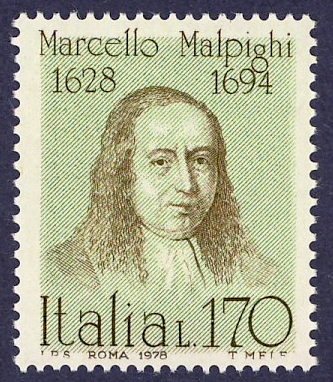 Marcello Malpighi
