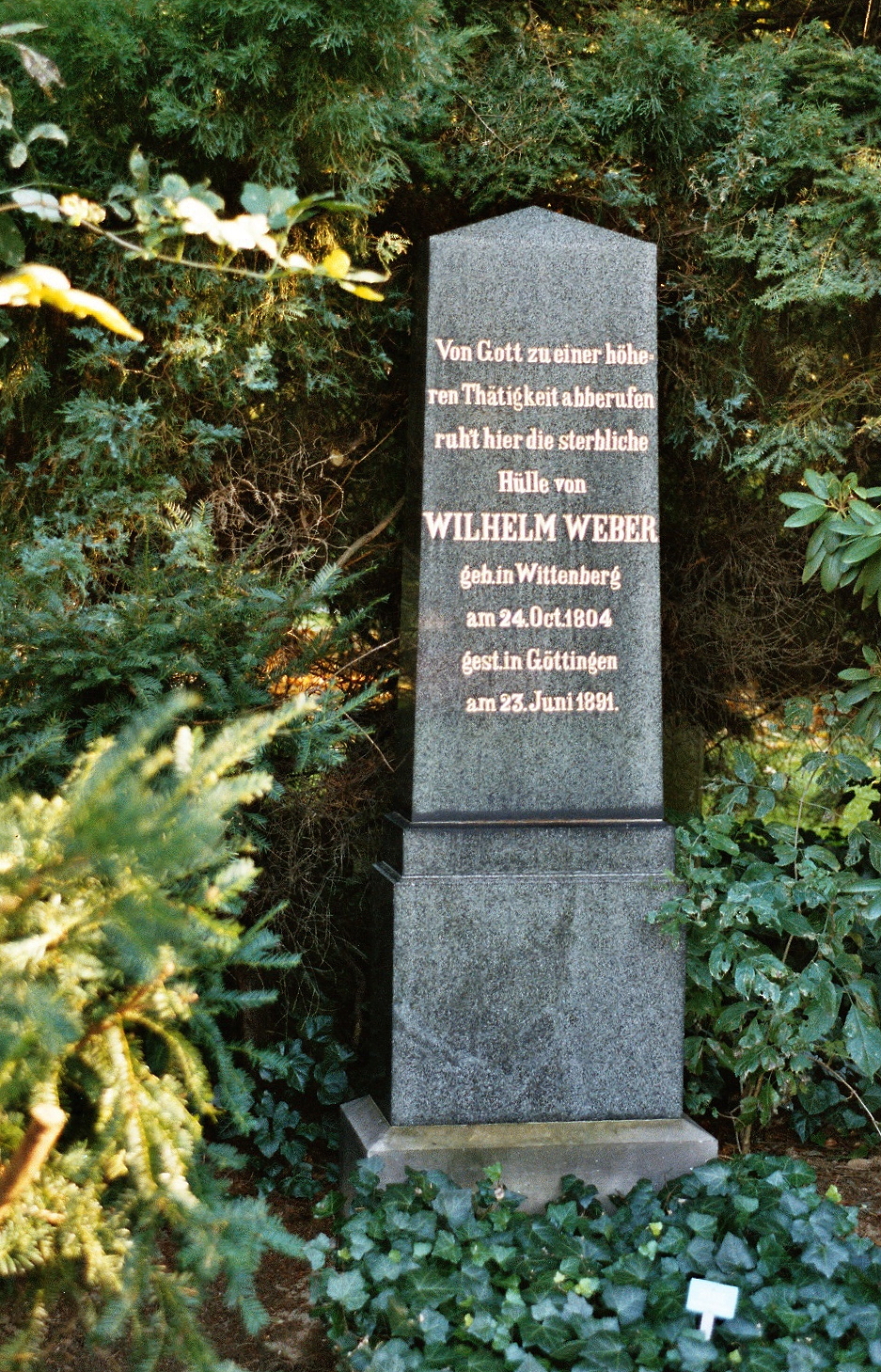 Wilhelm Weber Göttingen